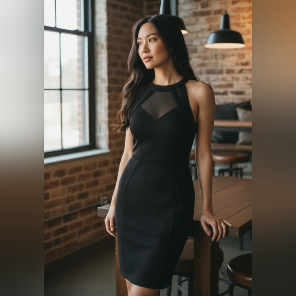 Ted Baker London Black Mesh Bodycon Dress Size 2 - Picture 2 of 12